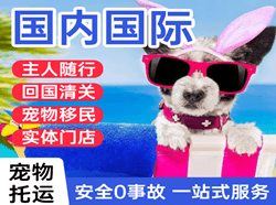 武宿机场空运国际宠物托运 【国